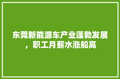 东莞新能源车产业蓬勃发展，职工月薪水涨船高