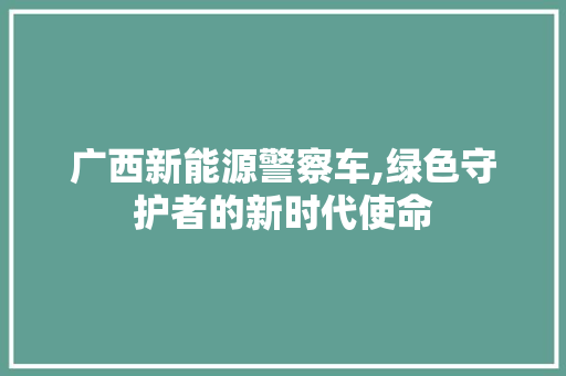 广西新能源警察车,绿色守护者的新时代使命