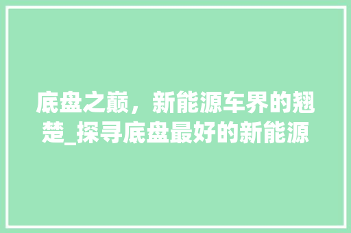 底盘之巅，新能源车界的翘楚_探寻底盘最好的新能源车型