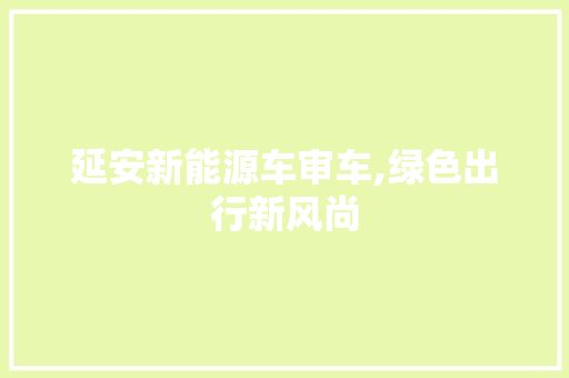 延安新能源车审车,绿色出行新风尚 汽车保养