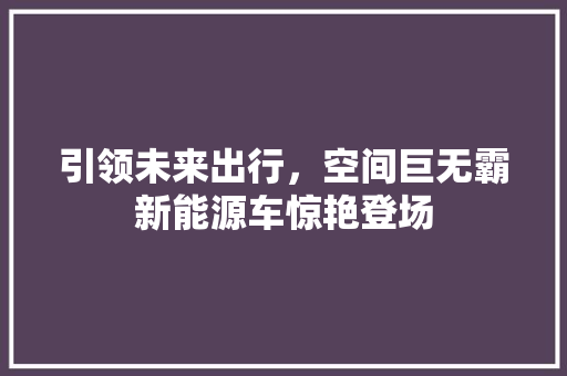 引领未来出行，空间巨无霸新能源车惊艳登场