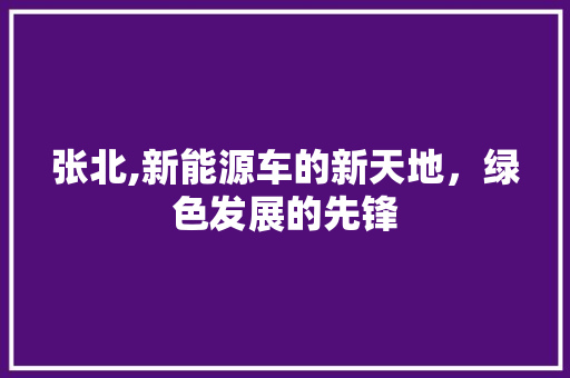 张北,新能源车的新天地，绿色发展的先锋 汽车配件