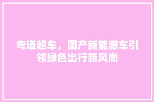 弯道超车，国产新能源车引领绿色出行新风尚