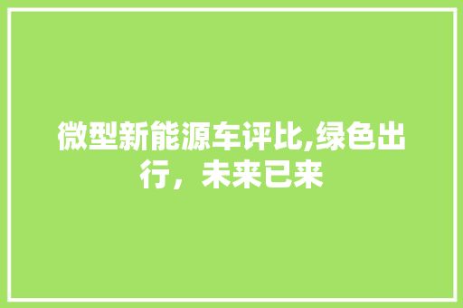 微型新能源车评比,绿色出行，未来已来 汽车保养