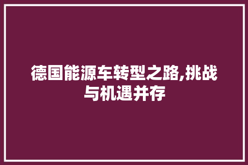 德国能源车转型之路,挑战与机遇并存 汽车配件