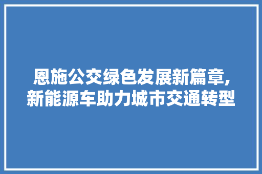 恩施公交绿色发展新篇章,新能源车助力城市交通转型