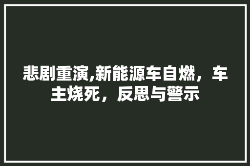 悲剧重演,新能源车自燃，车主烧死，反思与警示 混合动力车