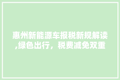 惠州新能源车报税新规解读,绿色出行，税费减免双重助力