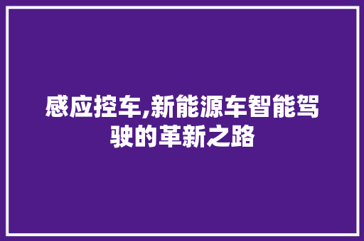 感应控车,新能源车智能驾驶的革新之路