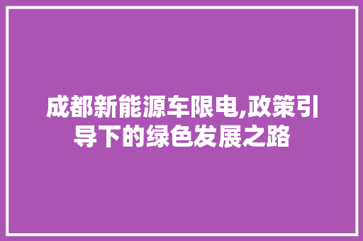 成都新能源车限电,政策引导下的绿色发展之路 新能源汽车