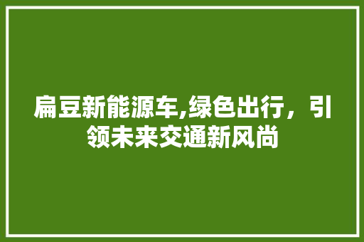 扁豆新能源车,绿色出行，引领未来交通新风尚 车型评测