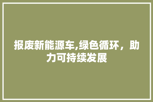 报废新能源车,绿色循环，助力可持续发展 汽车保养
