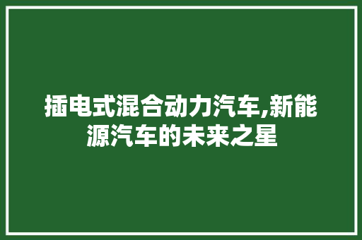 插电式混合动力汽车,新能源汽车的未来之星