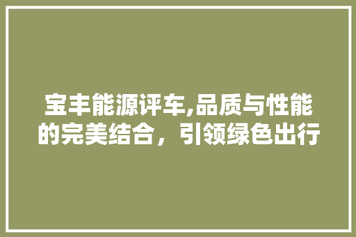 宝丰能源评车,品质与性能的完美结合，引领绿色出行新潮流