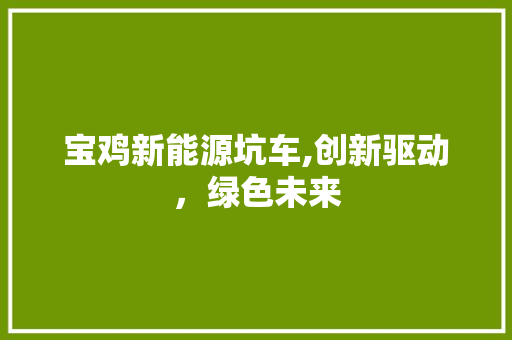 宝鸡新能源坑车,创新驱动，绿色未来 汽车保养