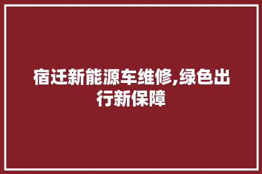 宿迁新能源车维修,绿色出行新保障