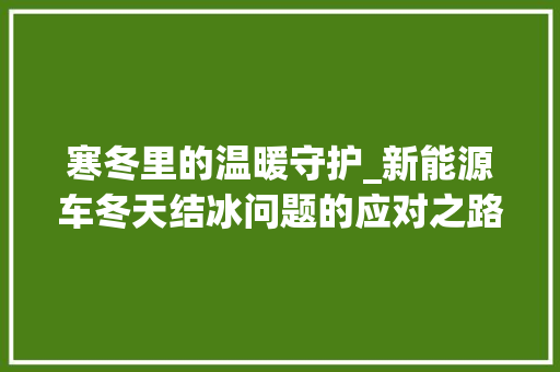 寒冬里的温暖守护_新能源车冬天结冰问题的应对之路 混合动力车