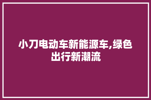 小刀电动车新能源车,绿色出行新潮流