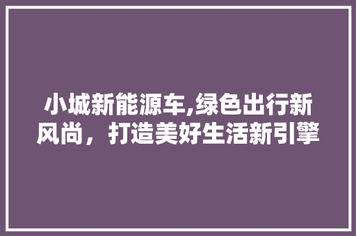 小城新能源车,绿色出行新风尚，打造美好生活新引擎