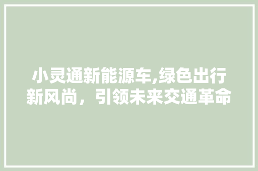 小灵通新能源车,绿色出行新风尚，引领未来交通革命 汽车配件