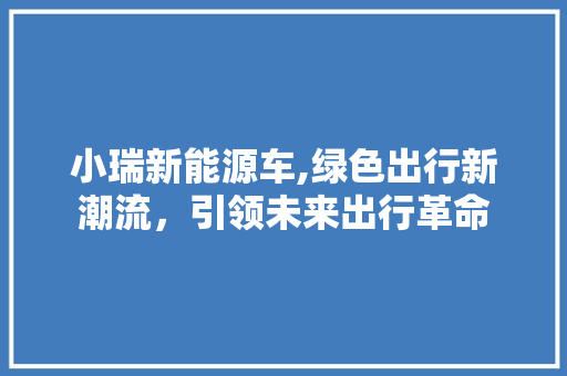 小瑞新能源车,绿色出行新潮流，引领未来出行革命 车载导航