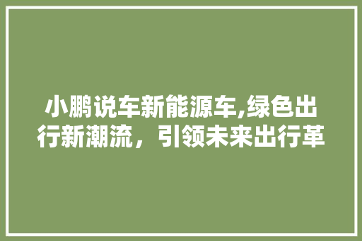 小鹏说车新能源车,绿色出行新潮流，引领未来出行革命 车载导航