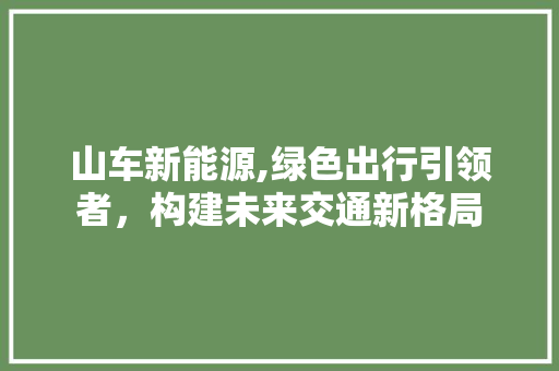 山车新能源,绿色出行引领者，构建未来交通新格局