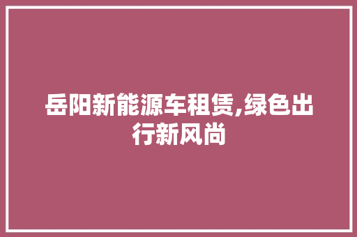 岳阳新能源车租赁,绿色出行新风尚 汽车展览