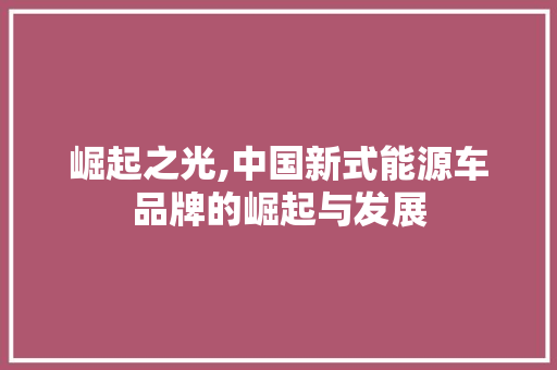 崛起之光,中国新式能源车品牌的崛起与发展