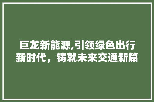 巨龙新能源,引领绿色出行新时代，铸就未来交通新篇章 新能源汽车