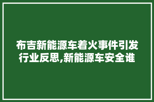 布吉新能源车着火事件引发行业反思,新能源车安全谁来守护