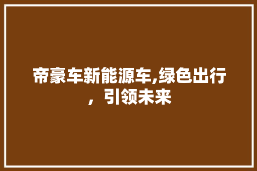 帝豪车新能源车,绿色出行，引领未来 车联网技术