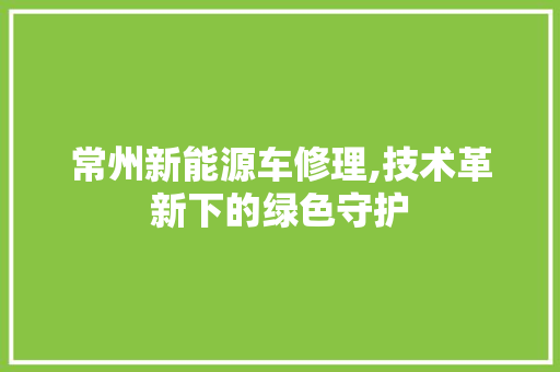 常州新能源车修理,技术革新下的绿色守护