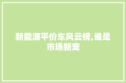 新能源平价车风云榜,谁是市场新宠
