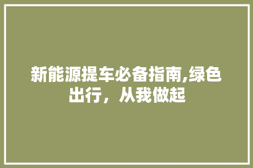 新能源提车必备指南,绿色出行，从我做起