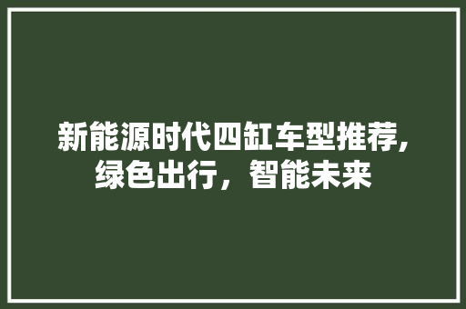 新能源时代四缸车型推荐,绿色出行，智能未来 汽车配件
