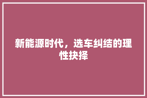 新能源时代，选车纠结的理性抉择