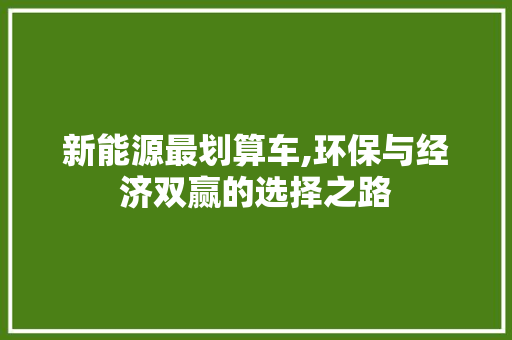新能源最划算车,环保与经济双赢的选择之路 新能源汽车