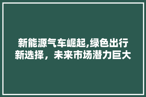新能源气车崛起,绿色出行新选择，未来市场潜力巨大