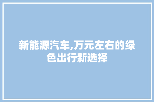 新能源汽车,万元左右的绿色出行新选择 车型评测