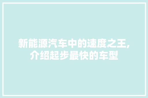 新能源汽车中的速度之王,介绍起步最快的车型 车载导航