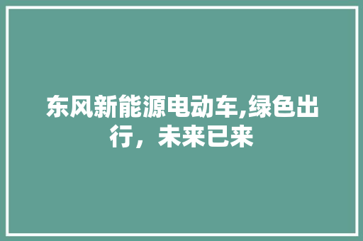 东风新能源电动车,绿色出行，未来已来