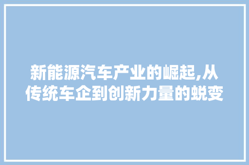 新能源汽车产业的崛起,从传统车企到创新力量的蜕变 汽车保养
