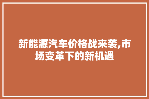 新能源汽车价格战来袭,市场变革下的新机遇