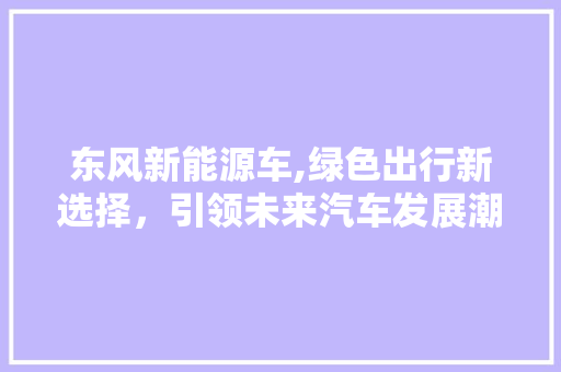 东风新能源车,绿色出行新选择，引领未来汽车发展潮流