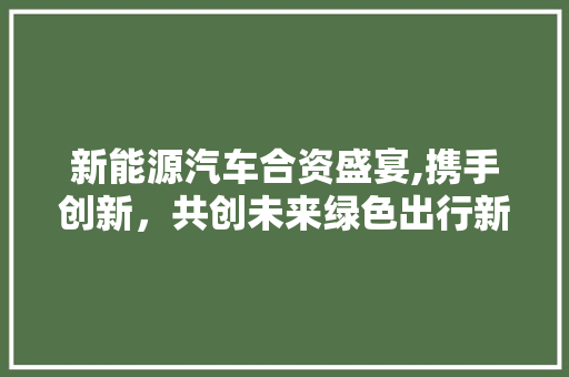 新能源汽车合资盛宴,携手创新，共创未来绿色出行新篇章 汽车展览