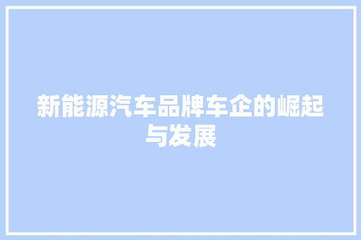 新能源汽车品牌车企的崛起与发展 汽车展览