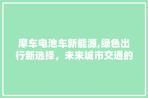摩车电池车新能源,绿色出行新选择，未来城市交通的绿色引擎