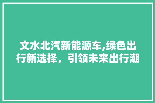 文水北汽新能源车,绿色出行新选择，引领未来出行潮流 车联网技术