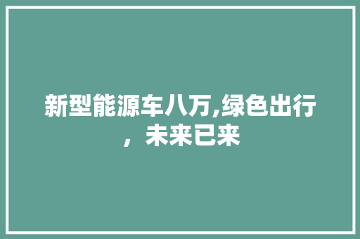 新型能源车八万,绿色出行，未来已来